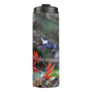 Search for hummingbird travel mugs Nature