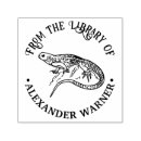 Search for name lizard Gecko