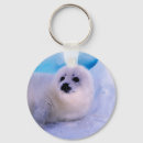 Search for harps key rings Cute