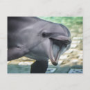 Search for getty postcards Smiling