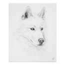 Search for siberian husky art Puppy