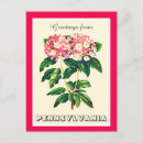 Search for vintage floral postcards Stylish
