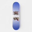 Search for drum skateboards Set