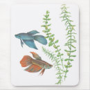 Search for betta mousepads Splendens