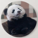 Search for fur babies badges Funny