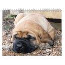 Search for mastiff calendars English