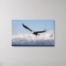 Search for flight canvas prints Bird of prey