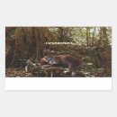 Search for ape stickers Wildlife