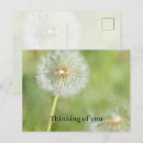 Search for think spring postcards Flowers