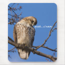 Search for red tails mousepads Falconry