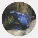 Search for poisonous stickers Frog