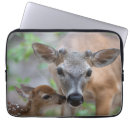 Search for deer laptop cases Young animal
