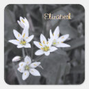 Search for digital photo stickers Macro