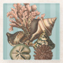 Search for creatures barware Seashell