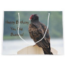 Search for buzzard Birthday