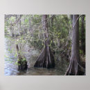 Search for bayou posters Water