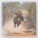 Search for jump coasters Animal