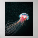 Search for deep creature Illustration