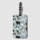 Search for shih tzu accessories Pet