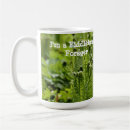 Search for fiddlehead Nature