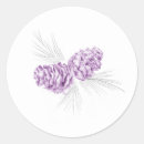 Search for pine stickers Cone