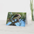 Search for osprey cards Animal