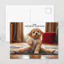Search for stretch postcards Yoga