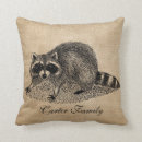 Search for raccoon cushions Cool
