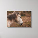 Search for portrait canvas prints Horses