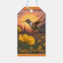 Search for hummingbird birthday Flowers