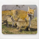 Search for kits mousepads Baby
