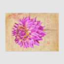Search for transfer tissue paper Purple