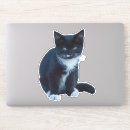 Search for black watch stickers Cat