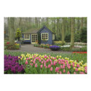 Search for garden foliage posters Flower