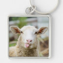 Search for sheeps key rings Funny sheep