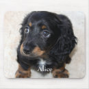 Search for doxies mousepads Black
