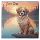 Search for bernard tiles Pet