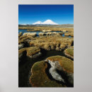 Search for volcanos posters Chile