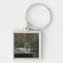 Search for camera square key rings Majestic