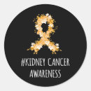 Search for kidney cancer awareness stickers Support