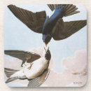 Search for beak barware Biology