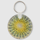 Search for succulent plants key rings Funny