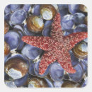 Search for clams stickers Blue
