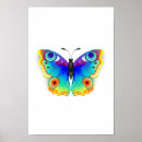 Search for peacock butterfly posters Colourful
