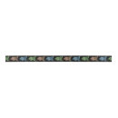 Search for sea turtle ribbon Animal