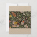 Search for serenity note cards Nature