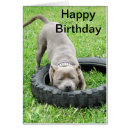 Search for staffordshire bull terrier cards Dog