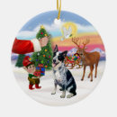 Search for cattle dog Pets