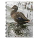 Search for duck notebooks Water