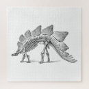 Search for fossil puzzles Dinosaur